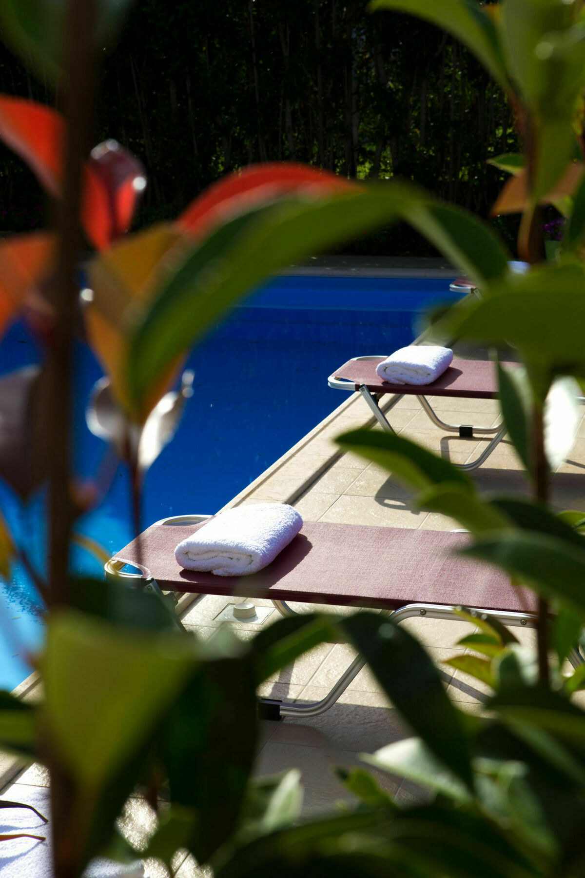 Exanthia Villas Bagian luar foto